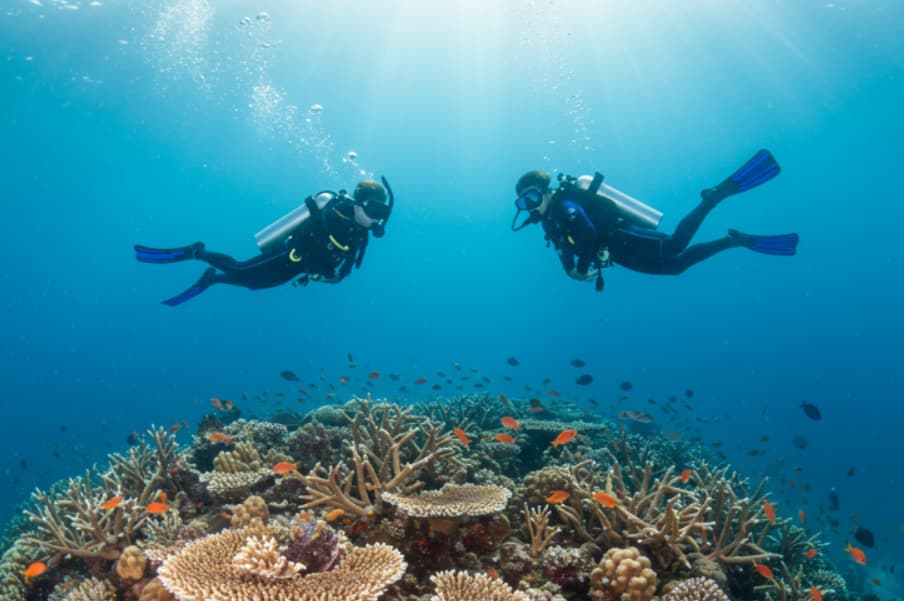 Buceo en el Mar Rojo
