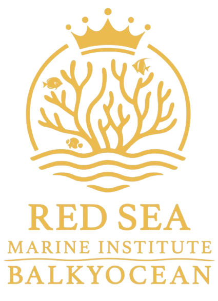 Red Sea Ambassador